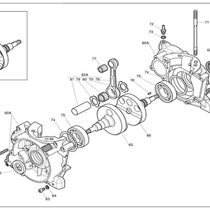 60A - Cárter con jaula x30
