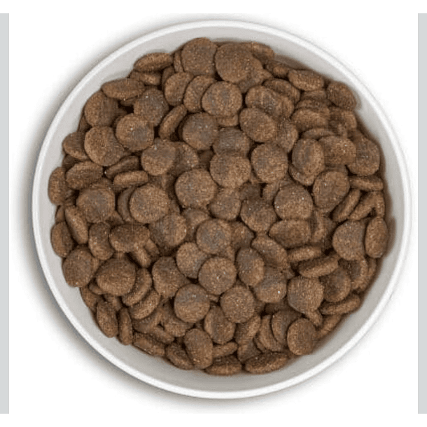 PREVENTA ERA Millennium Adult Mediano y Grande Salmón & Arenque 12 kg – Alimento Premium para Perros Adultos 3