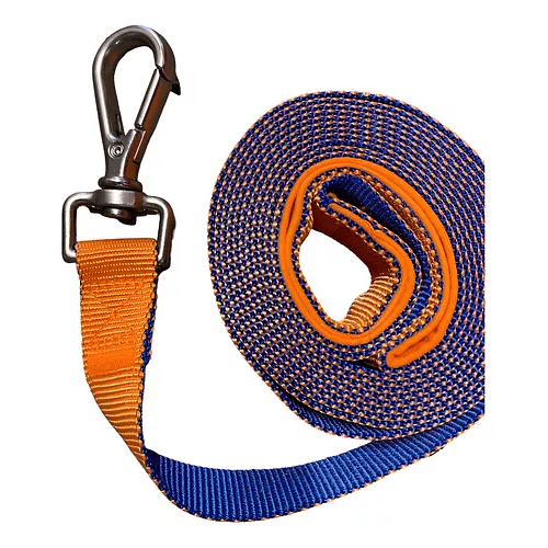 Correa de Paseo para Perro 3 m × 2.5 cm – Control y Seguridad en Cada Paseo