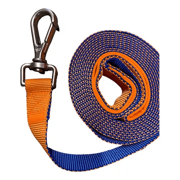 Correa de Paseo para Perro 3 m × 2.5 cm – Control y Seguridad en Cada Paseo