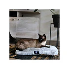 BRNX Colchón Anti Estrés Lavable Talla M – Cama Cómoda para Mascotas Pequeñas 3