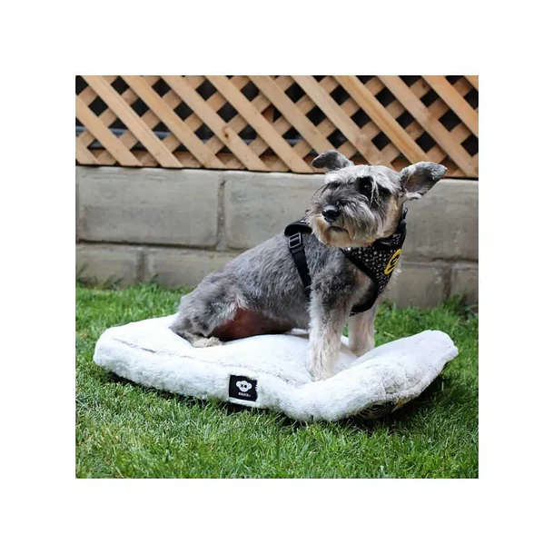 BRNX Colchón Anti Estrés Lavable Talla M – Cama Cómoda para Mascotas Pequeñas 4
