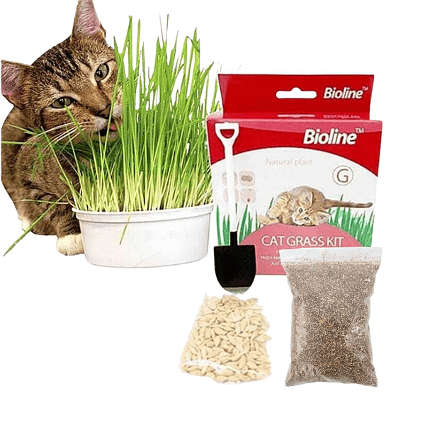 Bioline Cat Grass Kit 12g 4