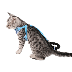 Arnés ergonómico celeste con corbatín talla S