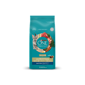 Purina One Pollo Y Carne Gatitos 2 Kg