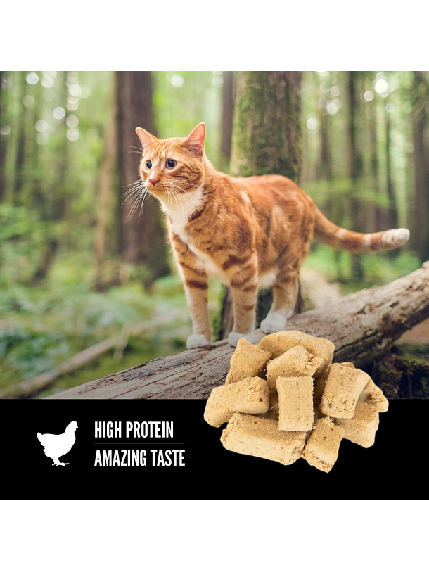 Orijen Original Cat Treats 3