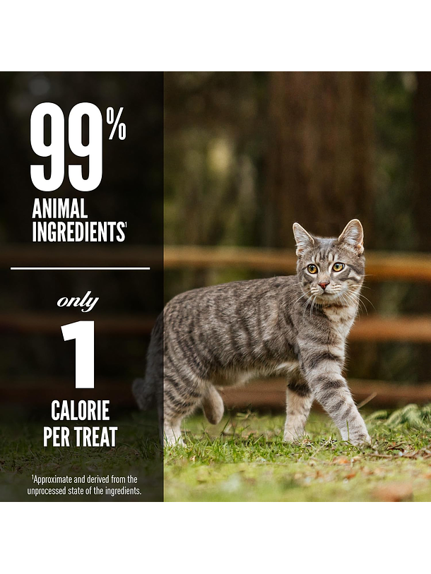 Orijen Original Cat Treats 4