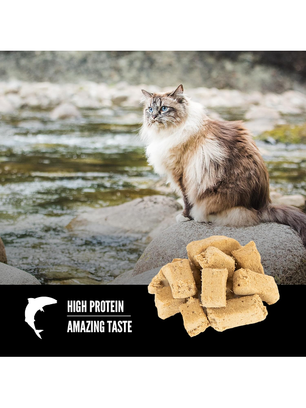 Orijen Six Fish Cat Treats 3