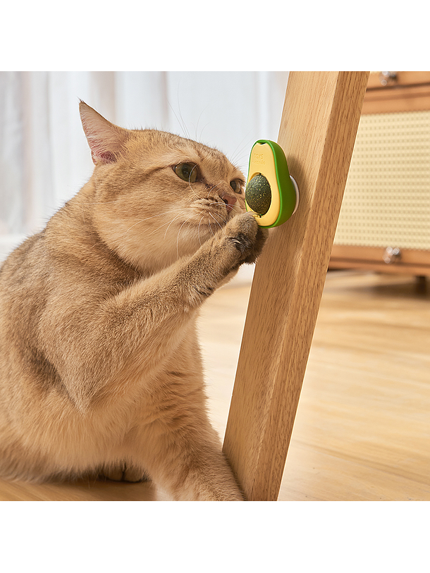 Palta con Bola de Catnip Giratoria 5