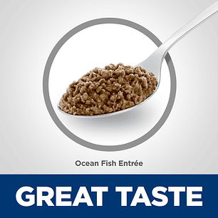 Hills Science Diet Lata Gato Indoor Ocean Fish 156g