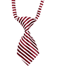 Corbata Para Mascotas Rayas Rojas con Blancas - Miniatura 1