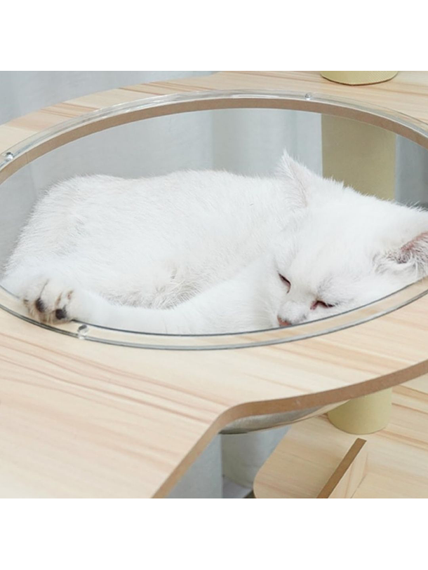 Rascador con Cápsula Y Casa de Madera XL 4