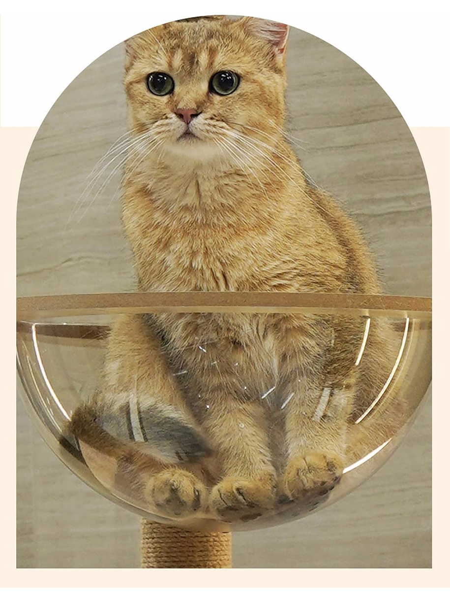 Rascador con Cápsula Y Casita de Madera XL 7