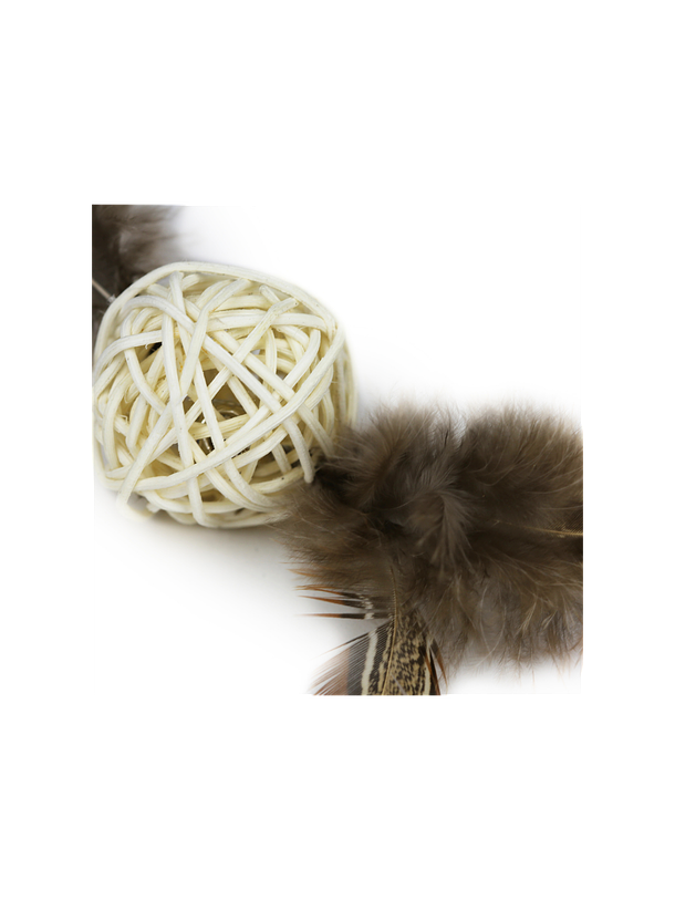 Hey! Pelota de Ratán con Plumas y Cascabel 3