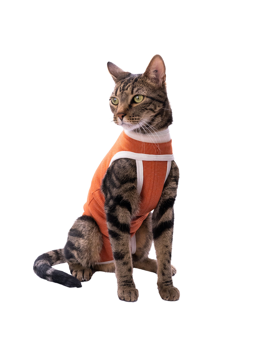 Kimba Vet Body Cobre Talla 2 1