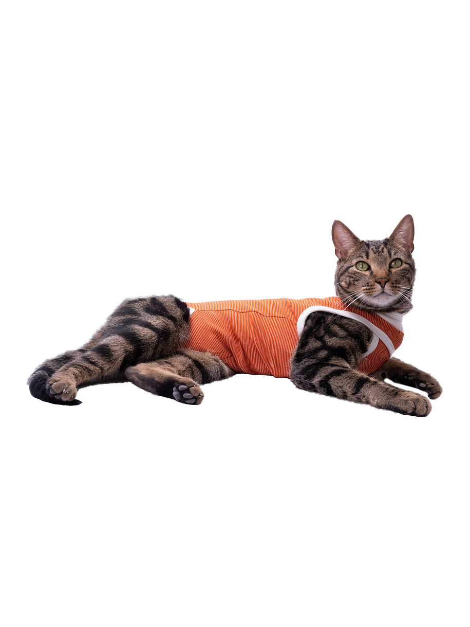 Kimba Vet Body Cobre Talla 3 2