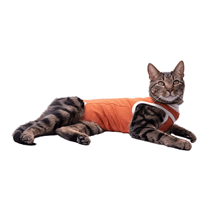 Kimba Vet Body Cobre Talla 2