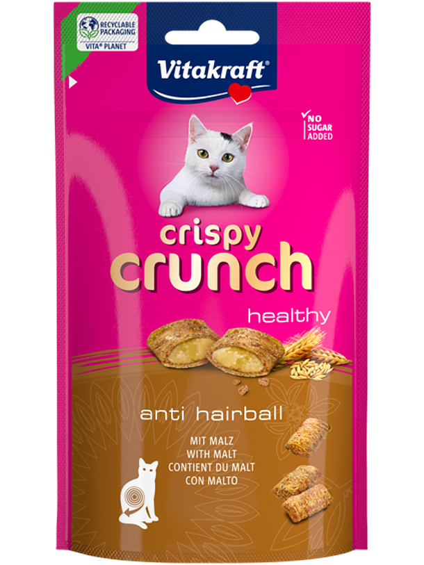 Vitakraft Crispy Crunch Hairball 1