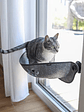 Nido Felino Colgante Celeste Con Ventosas Para Ventana - Miniatura 2