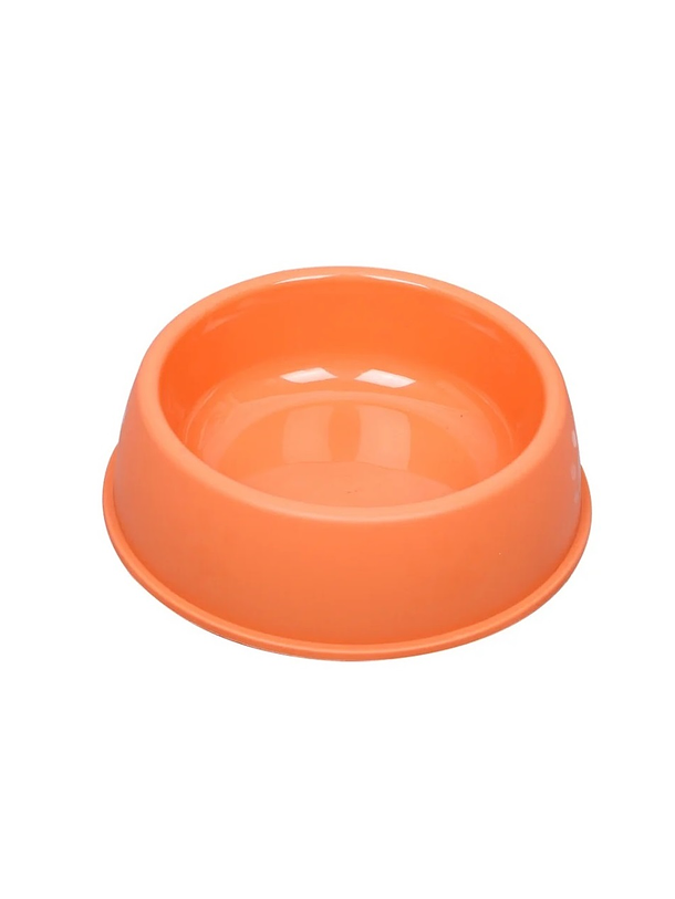 Plato Essentials Cats 2