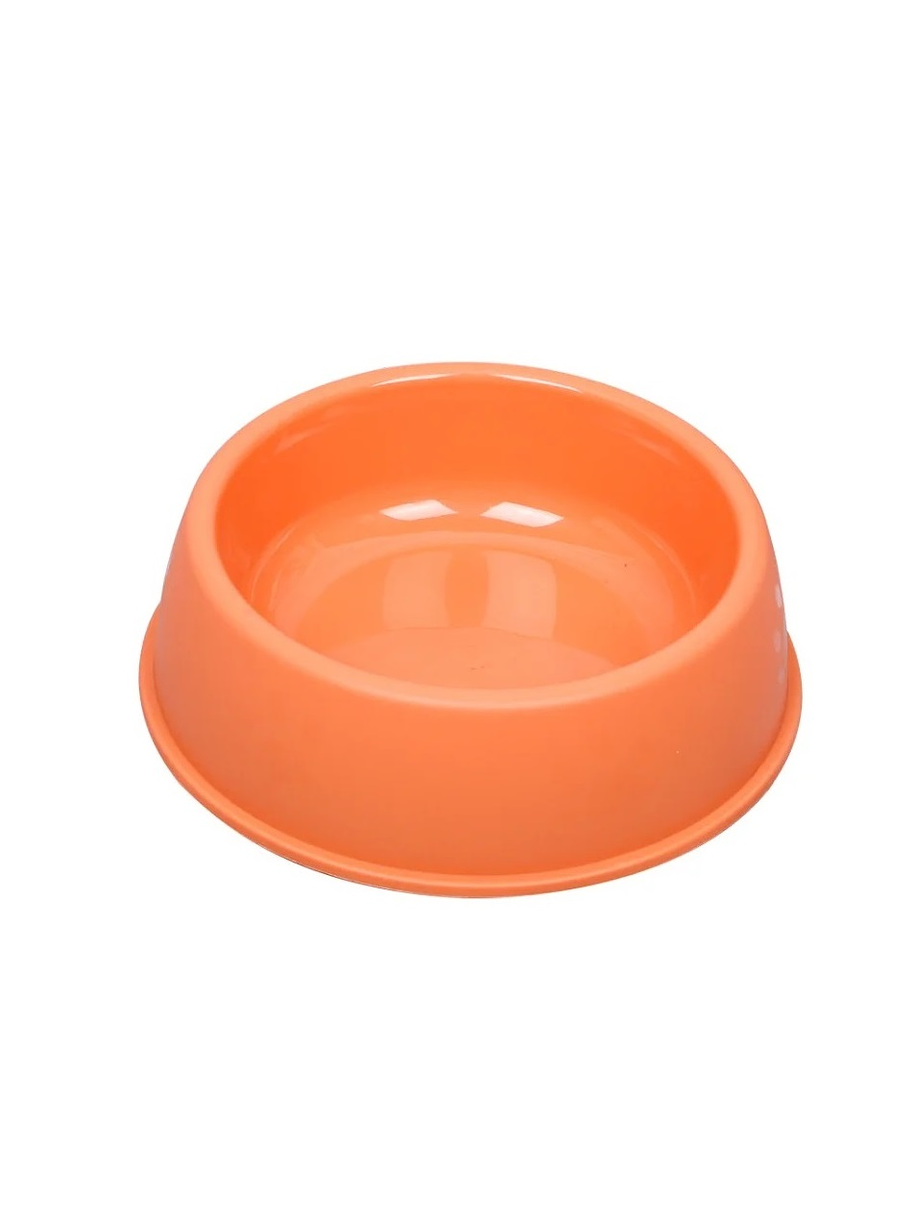 Plato Essentials Cats- SS 2