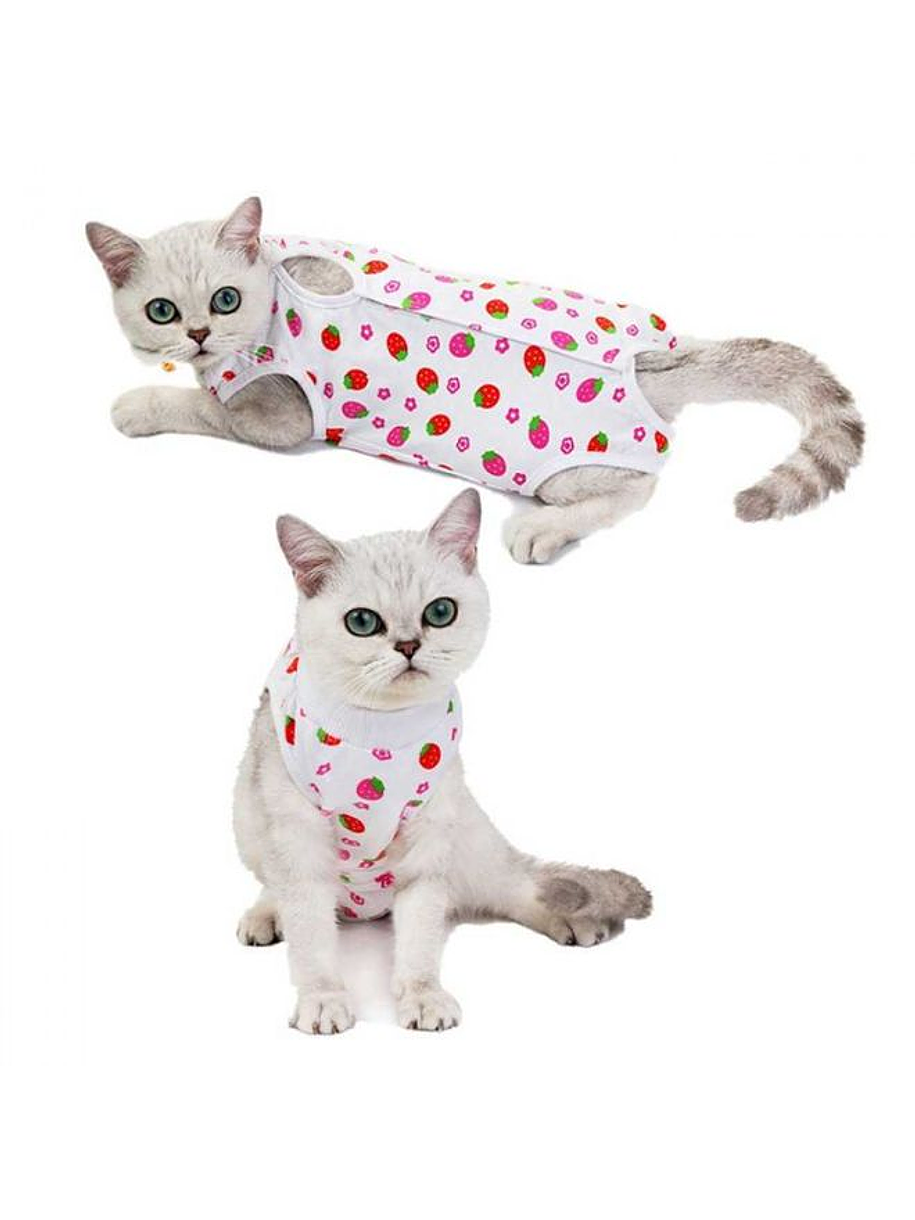 Body para Gato talla XL Blanco con Frutillas 1