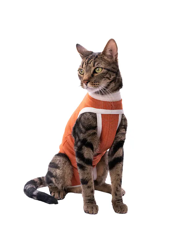 Kimba Vet Body Cobre Talla 0 1