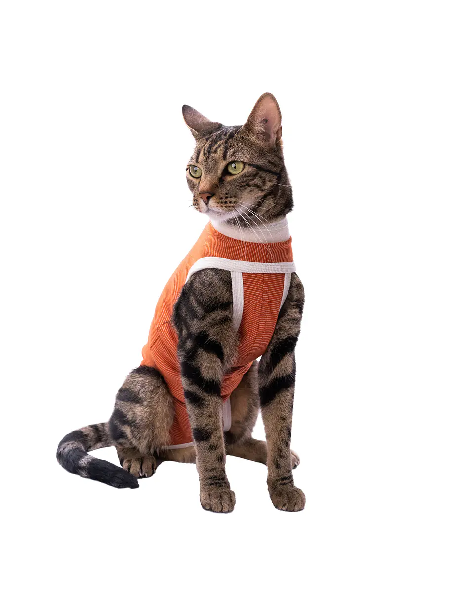 Kimba Vet Body Cobre Talla 0 1