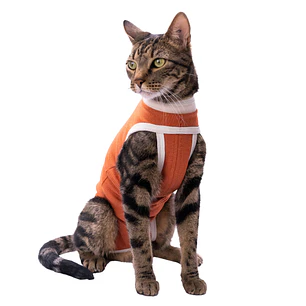 Kimba Vet Body Cobre Talla 5