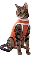 Kimba Vet Body Cobre Talla 5 - Miniatura 1