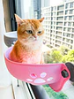 Nido Felino Colgante Rosado Con Ventosas Para Ventana - Miniatura 2