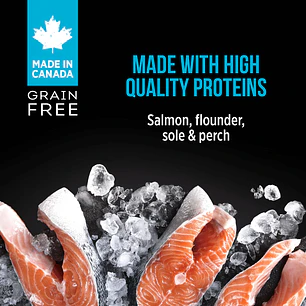 Nutrience Subzero Lata Canadian Pacific Paté 156g