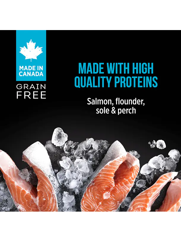 Nutrience Subzero Lata Gato Canadian Pacific Paté 156g 2