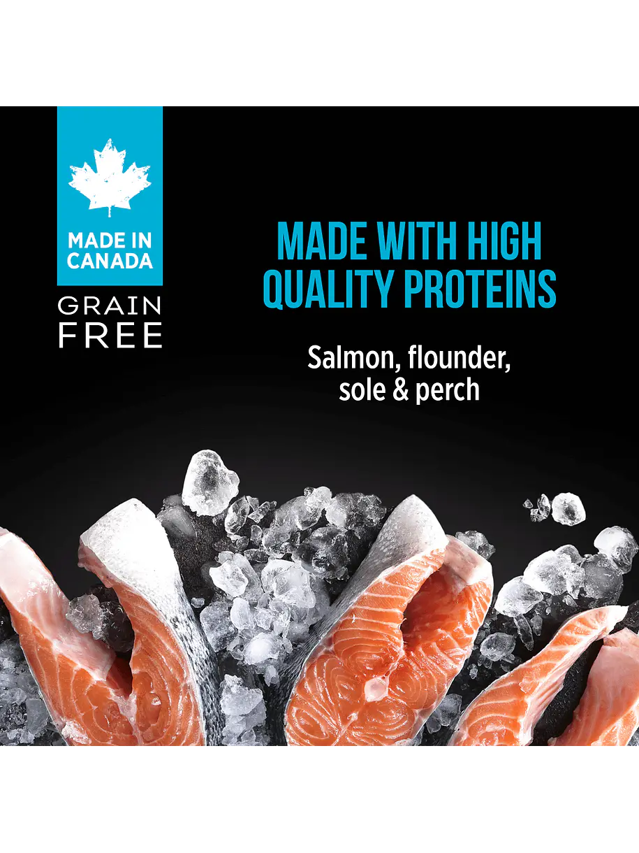Nutrience Subzero Lata Gato Canadian Pacific Paté 156g 2