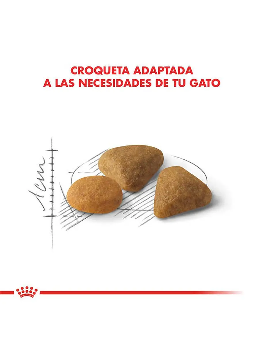 Royal Canin Exigent 1.5Kg 3