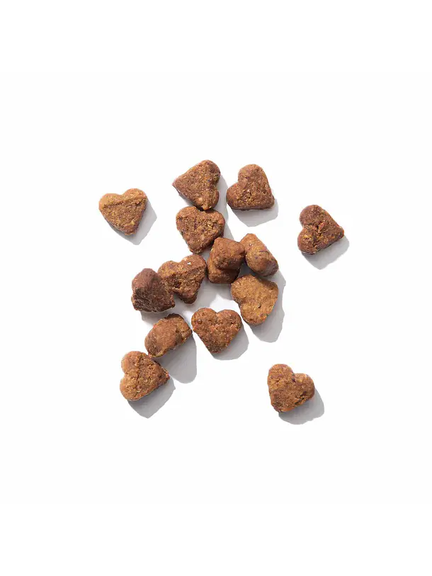 Catit Nuna Snack de Proteína de Insecto y Pollo 2