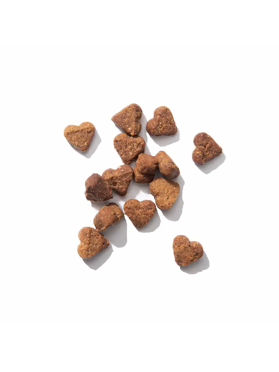 Catit Nuna Snack de Proteína de Insecto y Arenque 2