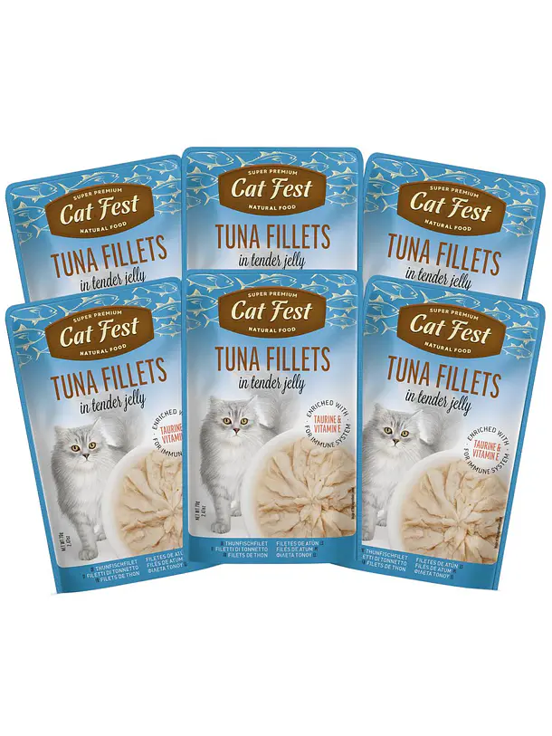 Pack Cat Fest Tender Fillets Variedades 6u 1