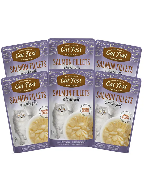 Pack Cat Fest Tender Fillets Variedades 6u 3
