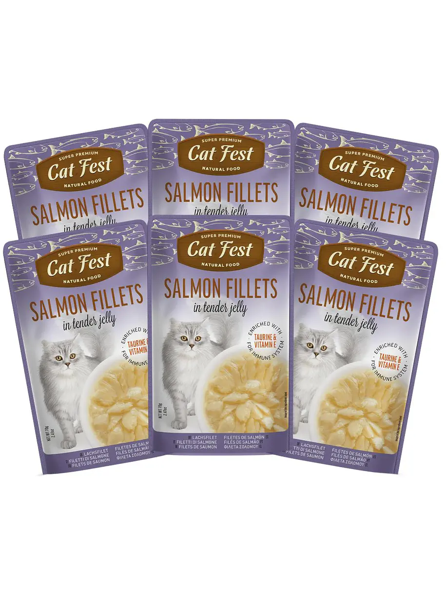 Pack Cat Fest Tender Fillets Variedades 6u 3