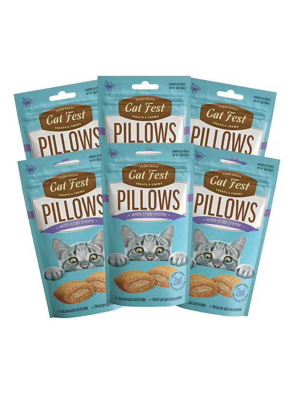 Pack Cat Fest Pillows Variedades 6u 3