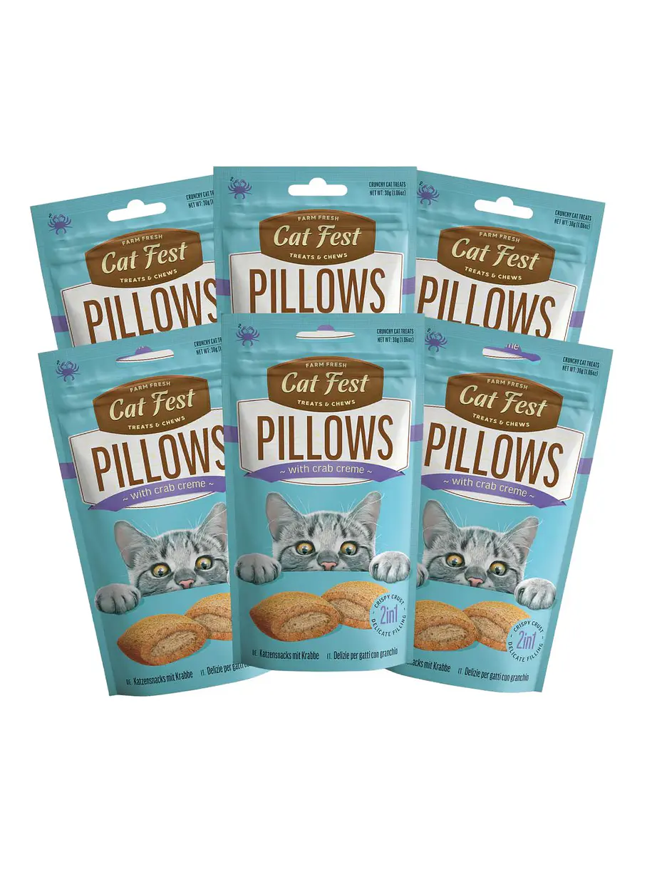 Pack Cat Fest Pillows Variedades 6u 3