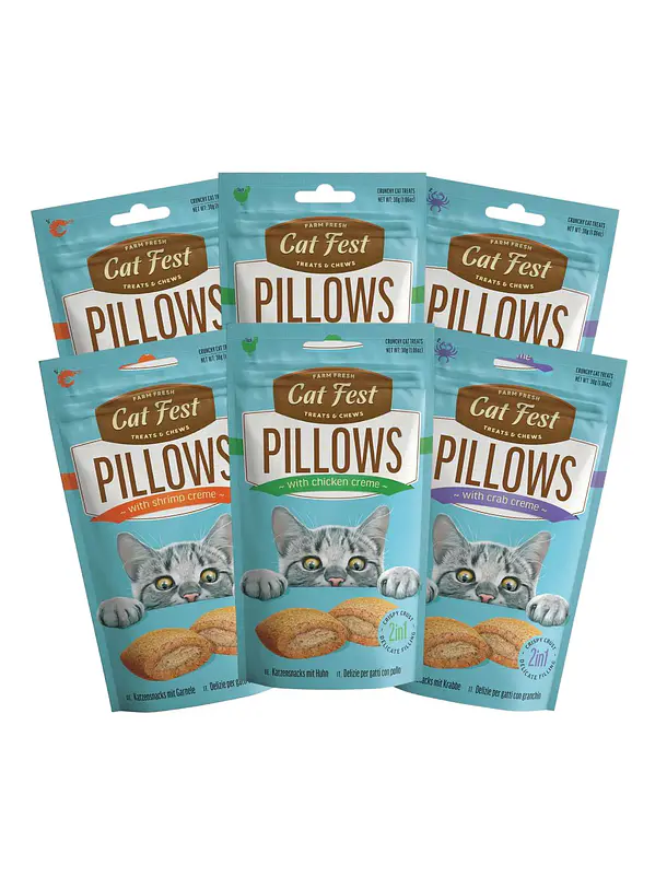 Pack Cat Fest Pillows Variedades 6u 1