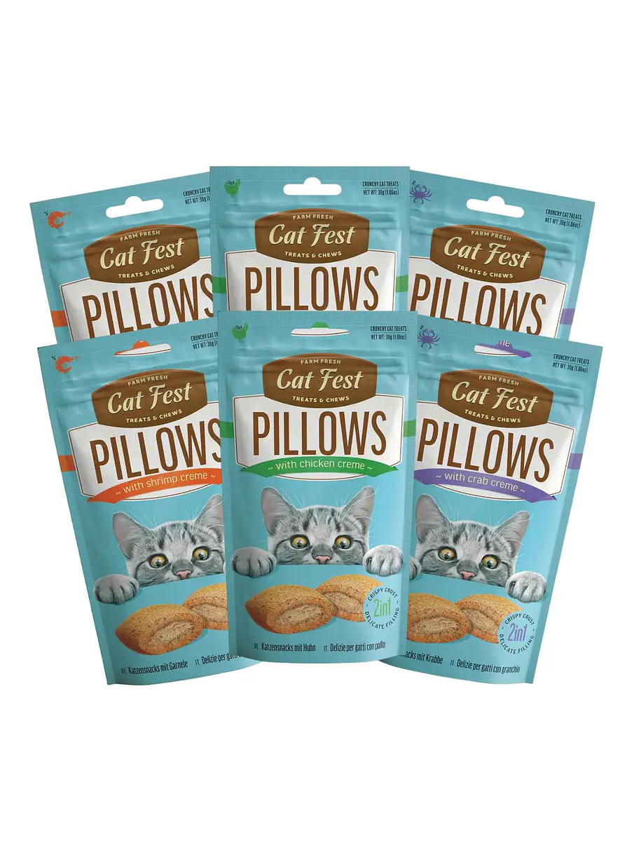 Pack Cat Fest Pillows Variedades 6u 1