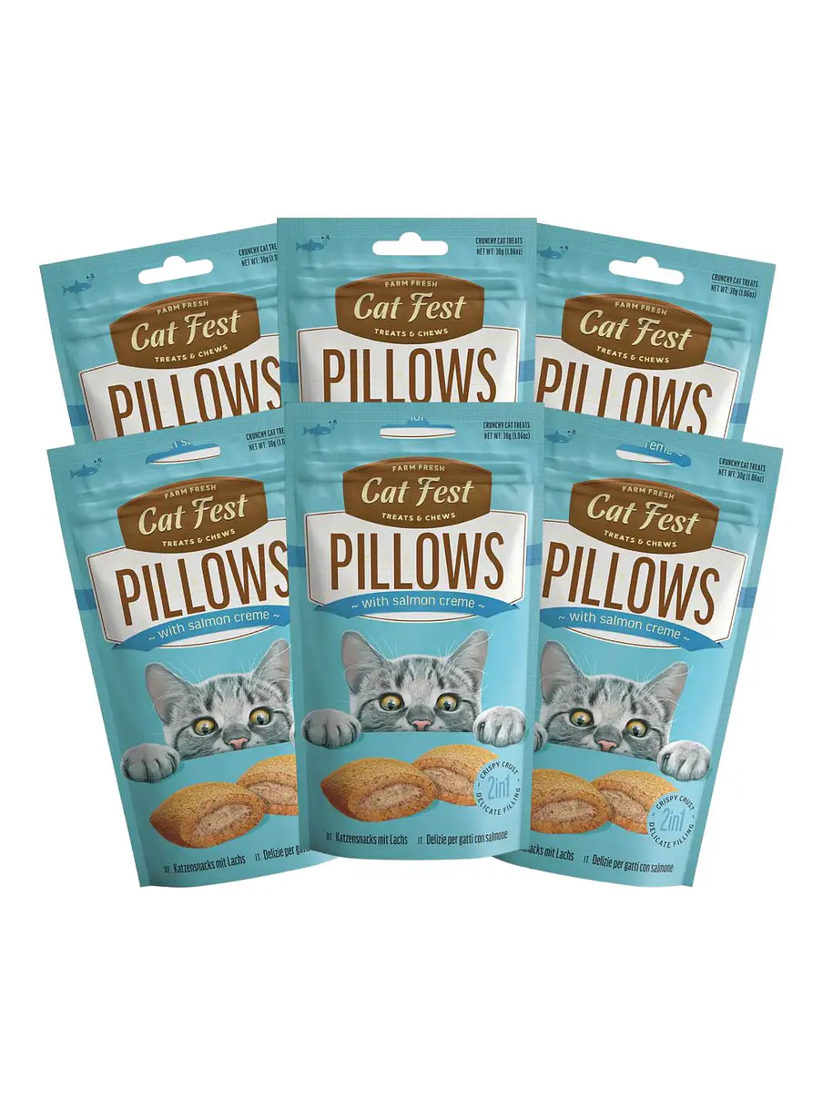 Pack Cat Fest Pillows Variedades 6u 4