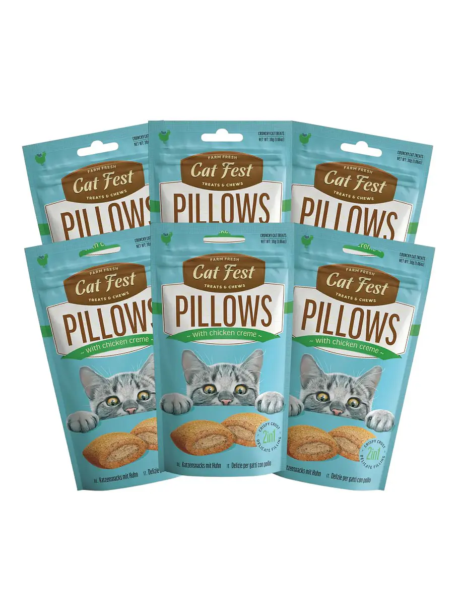 Pack Cat Fest Pillows Variedades 6u 5