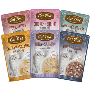 Pack Cat Fest Tender Jelly Variedades 6u
