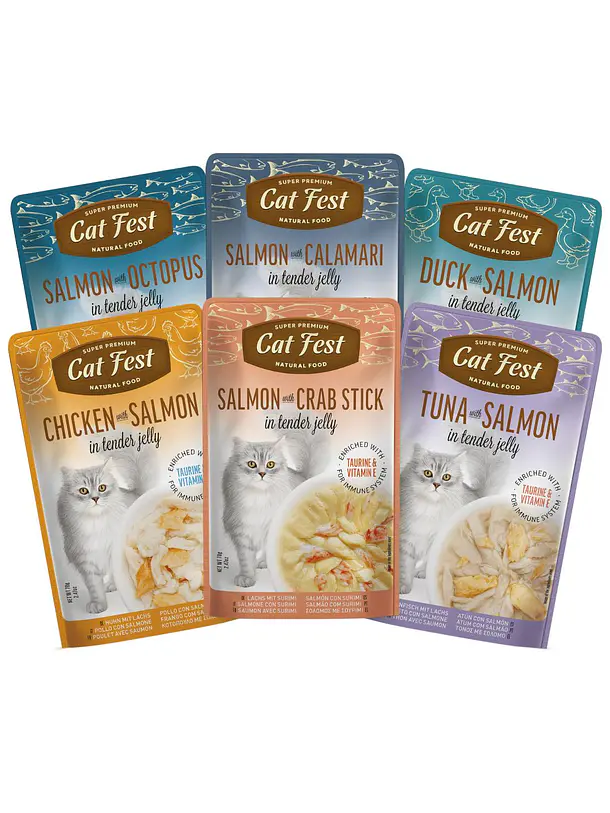 Pack Cat Fest Tender Jelly Variedades 6u 3