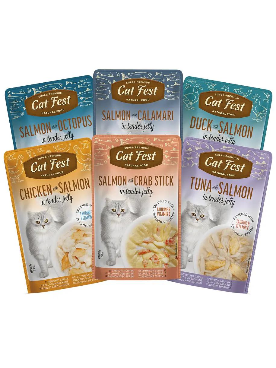 Pack Cat Fest Tender Jelly Variedades 6u 3