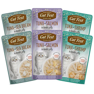 Pack Cat Fest Tender Jelly Variedades 6u